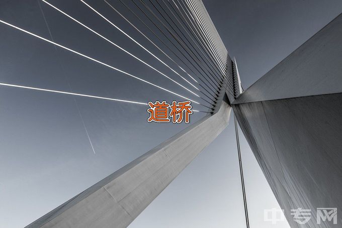 内蒙古交通职业技术学院道路与桥梁工程技术