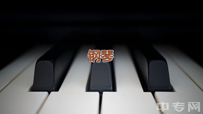 郑州铁路职业技术学院钢琴调律