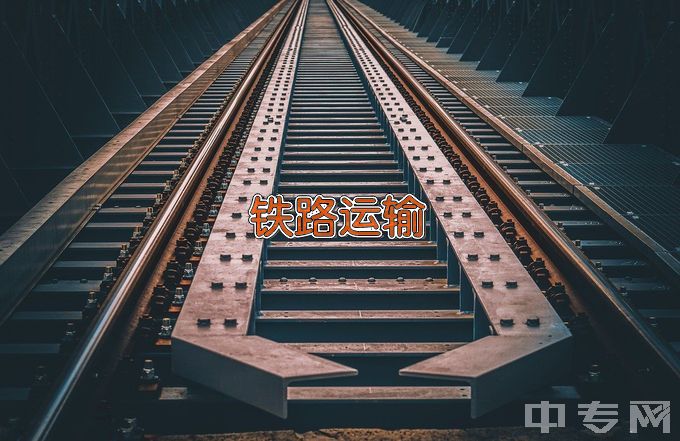 南京铁道车辆技师学院铁路客运服务