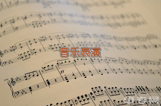 宁夏艺术职业学院（中专部）音乐表演