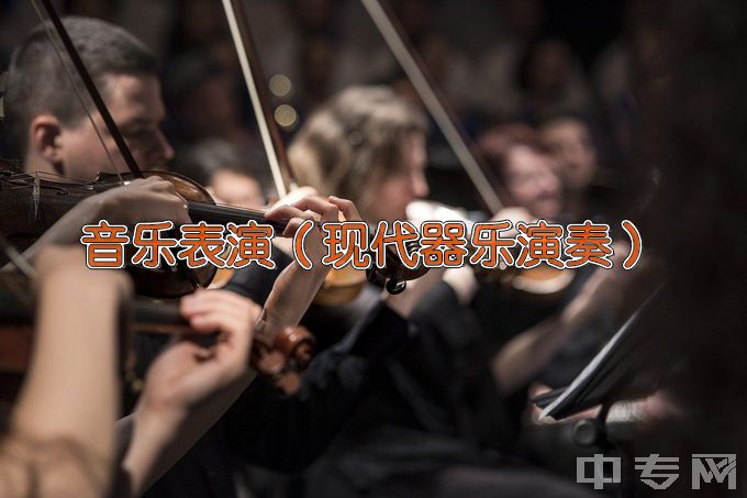 上海音乐学院音乐表演（现代器乐演奏）
