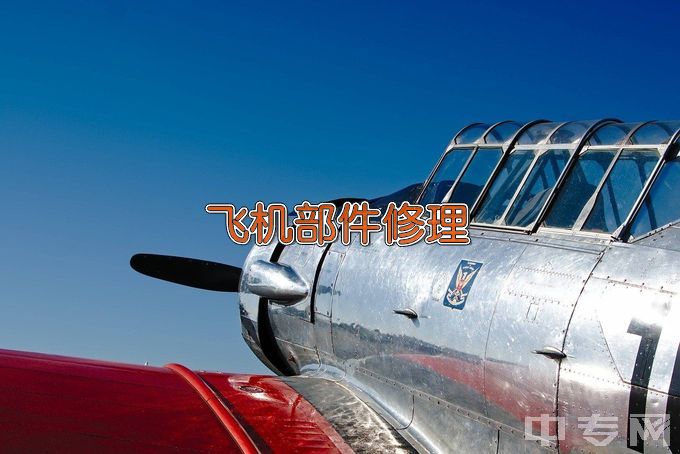 广东华文航空艺术职业学校飞机设备维修