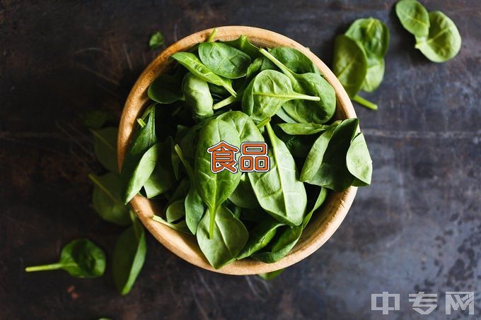 广东省南方技师学院食品质量与安全