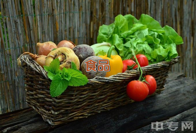 河南农业职业学院食品智能加工技术