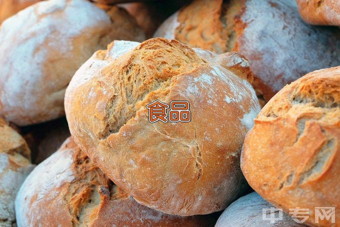 阜阳职业技术学院食品营养与检测