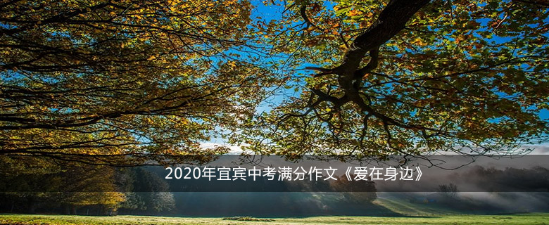 2020年宜宾中考满分作文《爱在身边》