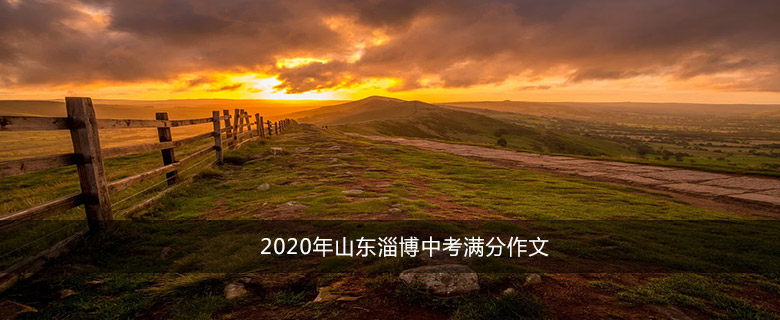 2020年山东淄博中考满分作文