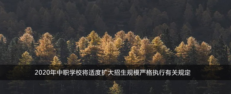 2020年中职学校将适度扩大招生规模严格执行有关规定