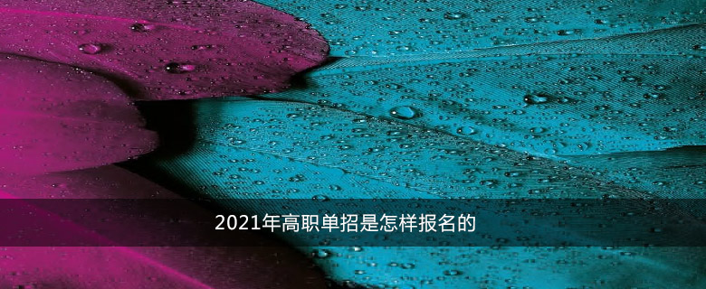 2021年高职单招是怎样报名的